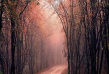 [中国女篮]中国女子三人篮球队获得亚洲杯季军.