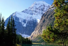 唯一申办国 英国料获2035年女足世界杯主办权.