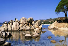 [篮球公园]曾凡博空接暴扣领衔2024年度百大好球.